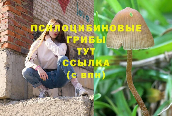 мескалин Верея